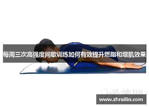每周三次高强度间歇训练如何有效提升燃脂和增肌效果